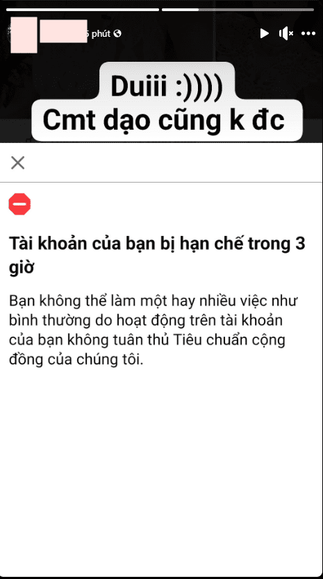 diễn viên Nam Thư, sao Việt